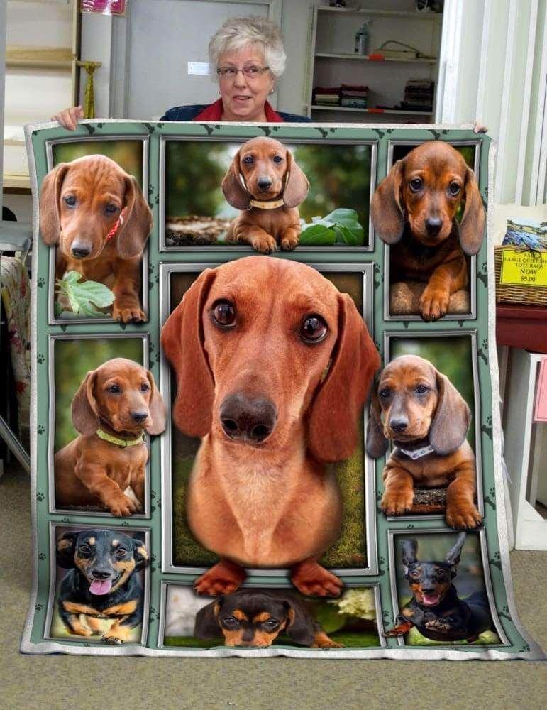 Cute Dachshund CLA0411271F Sherpa Fleece Blanket