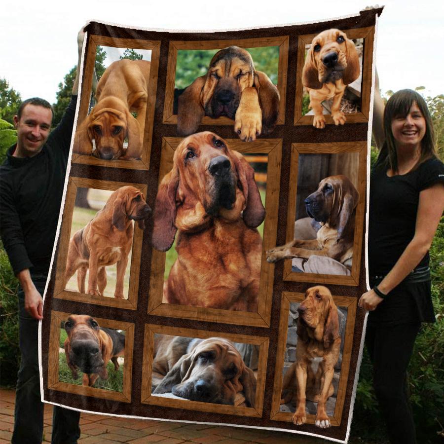Bloodhound CLA02121584F Sherpa Fleece Blanket