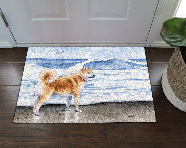 Akita NT190904D Non-slip Door mats