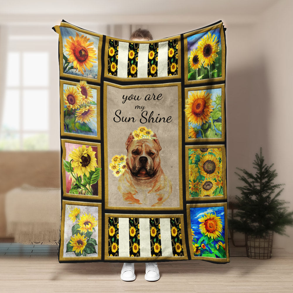 American Bully Sunshine CLA1910603F Sherpa Fleece Blanket