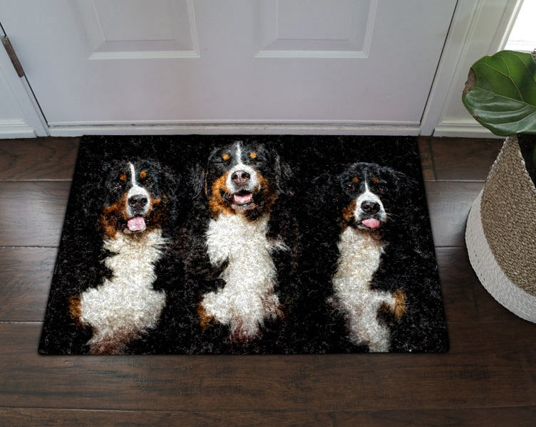 Bernese Mountain Dog DT0111017D Non-slip Door mats
