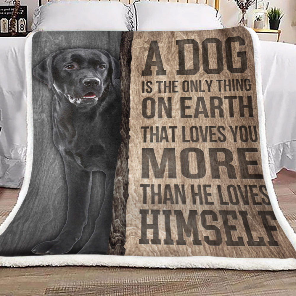 Black Labrador Dog CL18110018MDF Sherpa Fleece Blanket