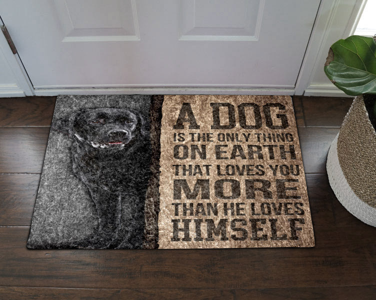 Black Labrador Dog CL18110056MDD Non-slip Door mats