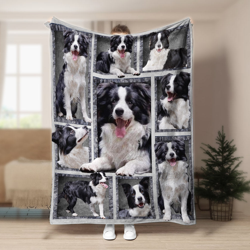 Border Collie CLA21101021F Sherpa Fleece Blanket