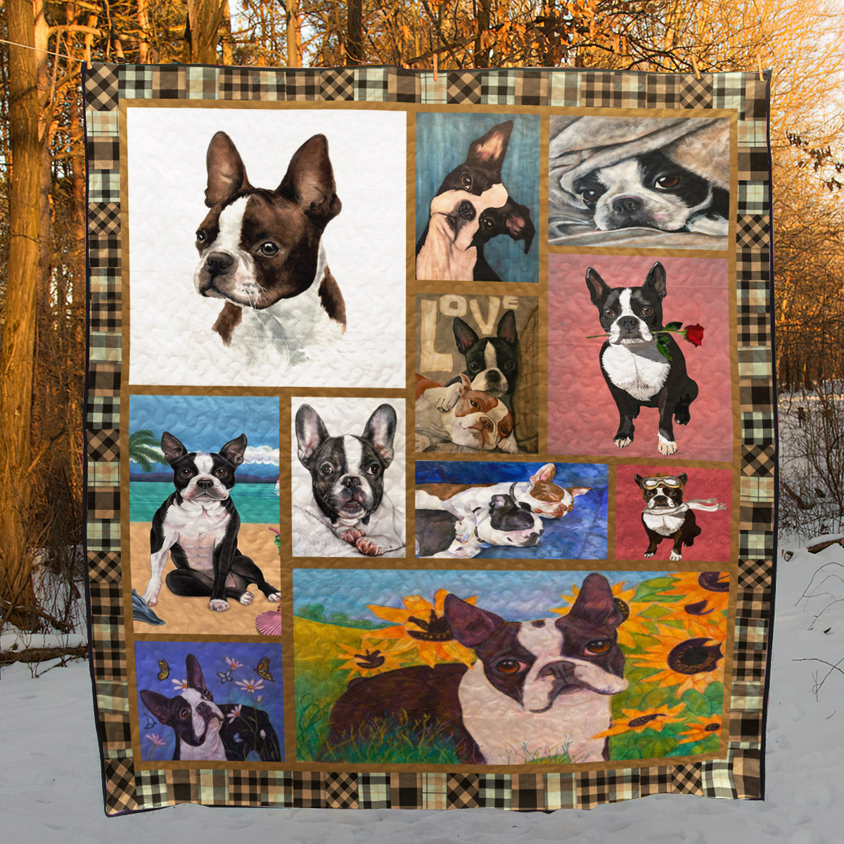 Boston Terrier Color CL10100071MDQ Quilt Blanket