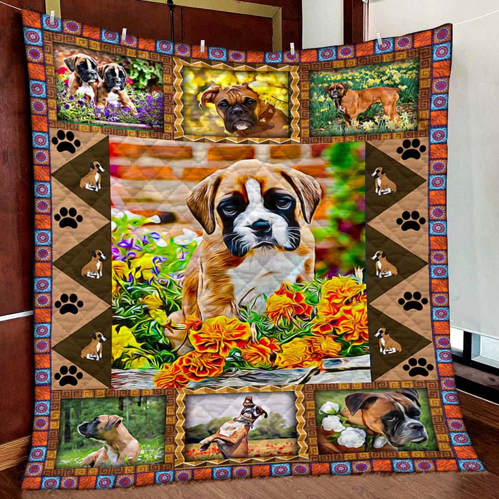 Boxer Quilt Blanket MN281006