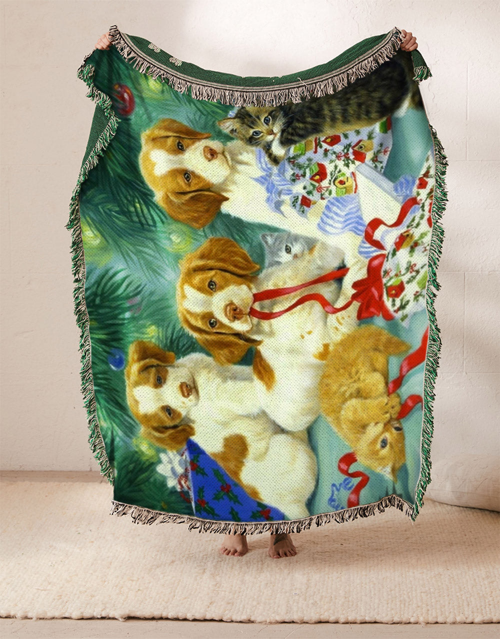 Brittany Spaniel NT2110023S Throw Blankets For Sofa