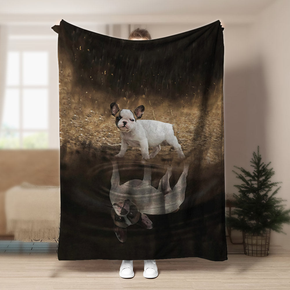 Bulldog CLA150808f Sherpa Fleece Blanket