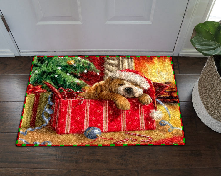 Bulldog NT21100012D Non-slip Door mats