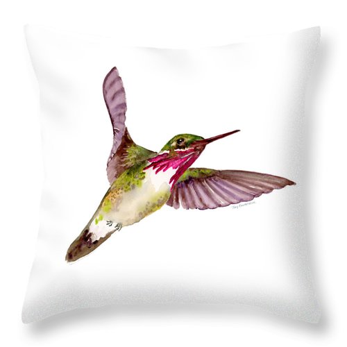 Calliope Hummingbird CLH18100117P Throw Pillow Covers
