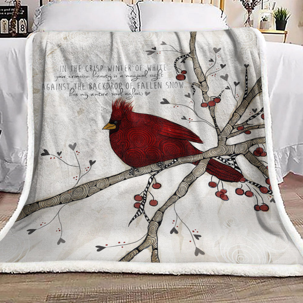 Cardinal NT1410056F Sherpa Fleece Blanket