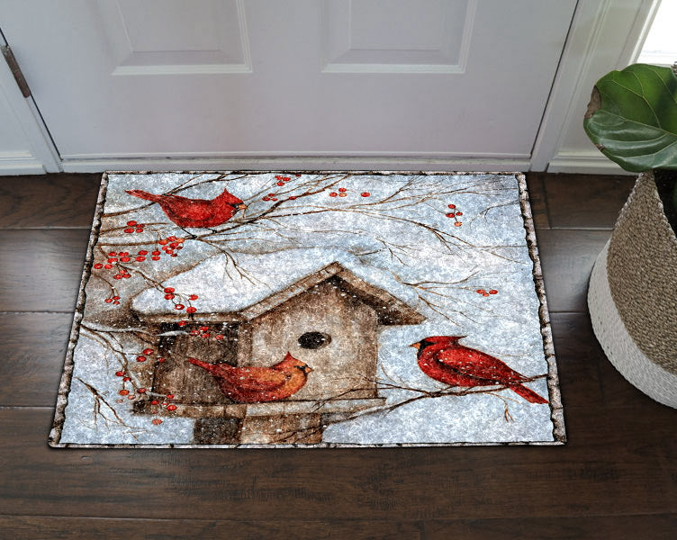 Cardinal NT270905D Non-slip Door mats
