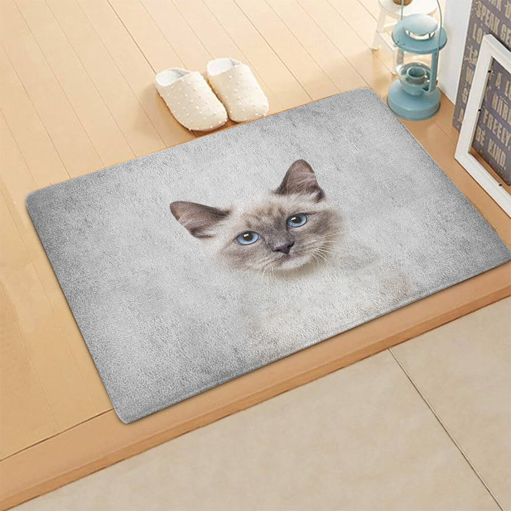 Cat VD011007D Non-slip Door mats