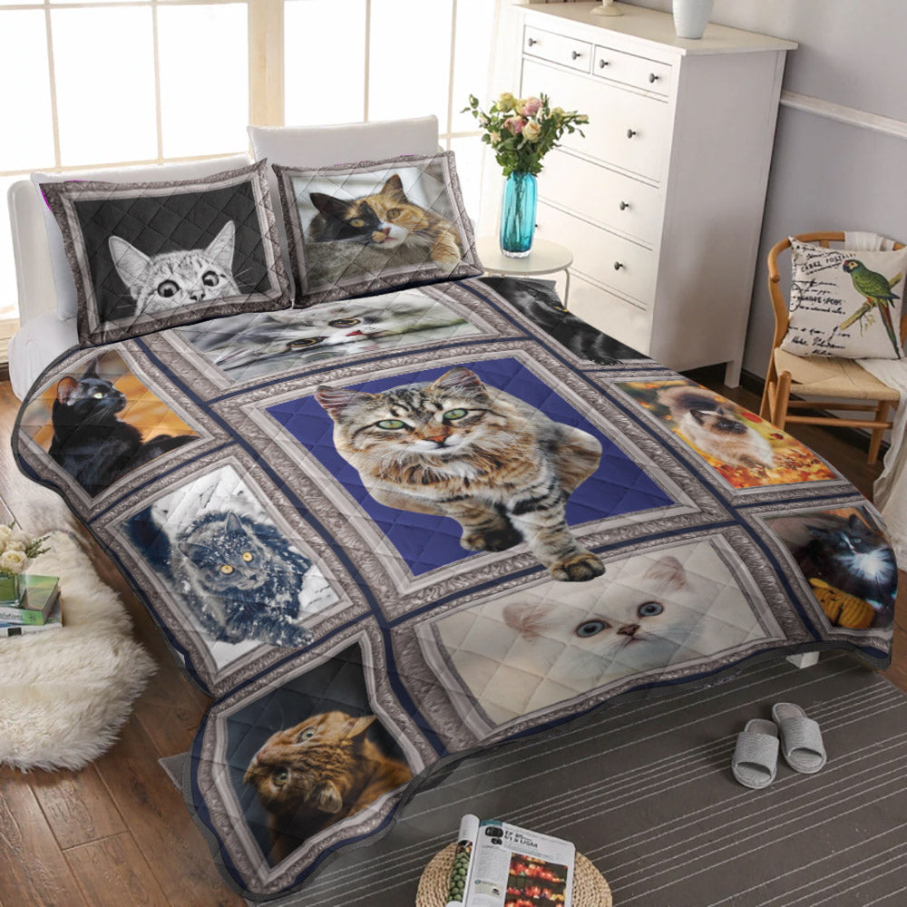 Cats CLM3010110B Quilt Bedding Set