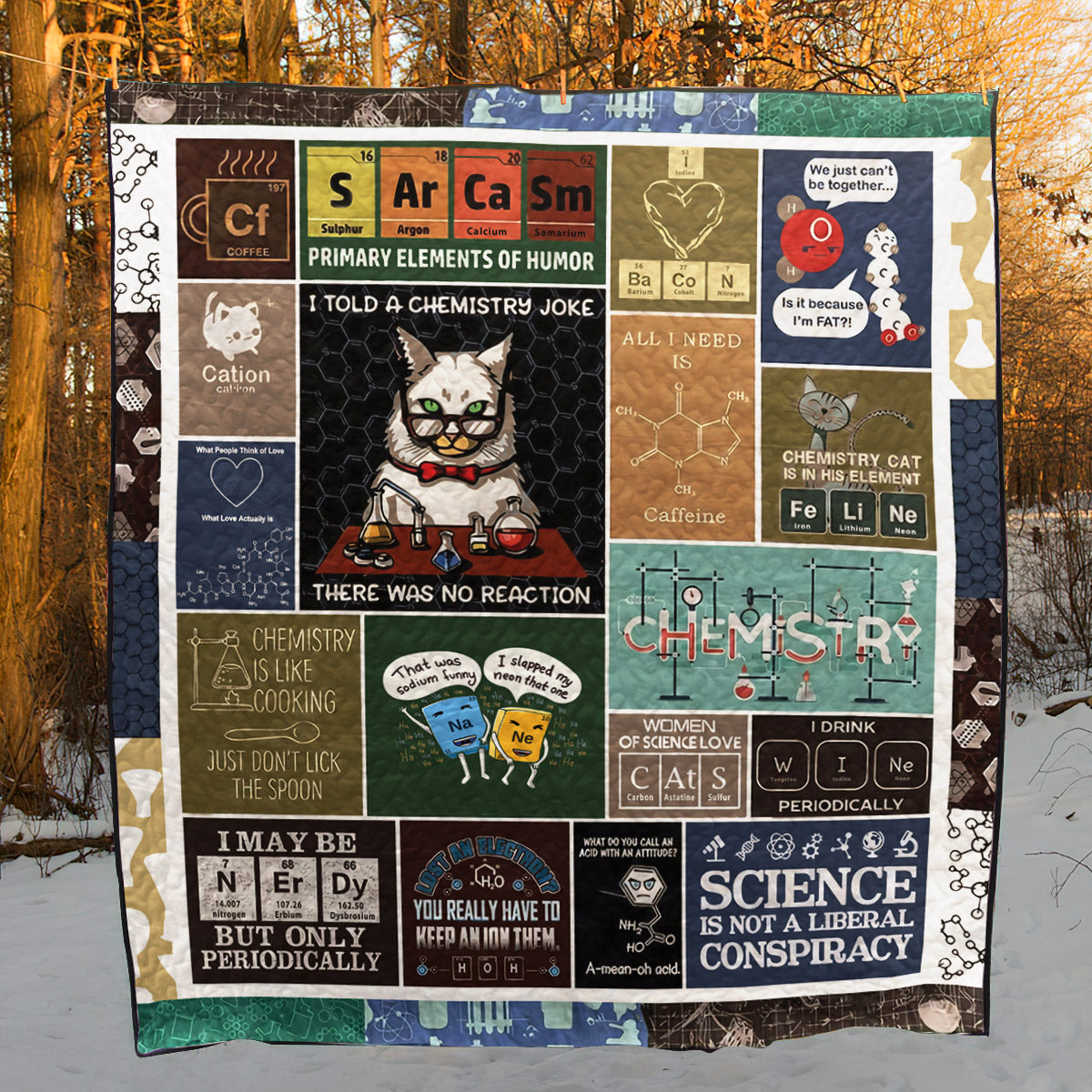 Chemistry Art CL16100405MDQ Quilt Blanket