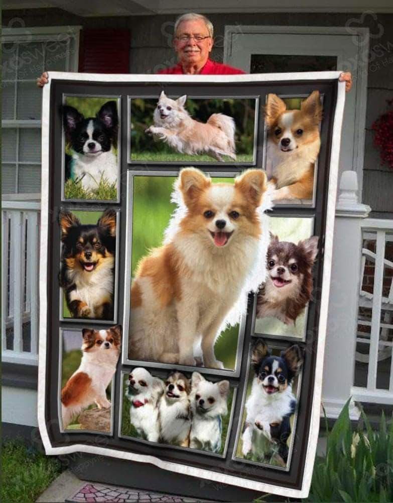 Chihuahua CL05100120MDF Sherpa Fleece Blanket