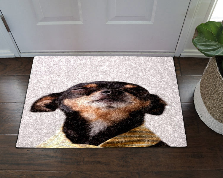 Chihuahua HN160913D Non-slip Door mats