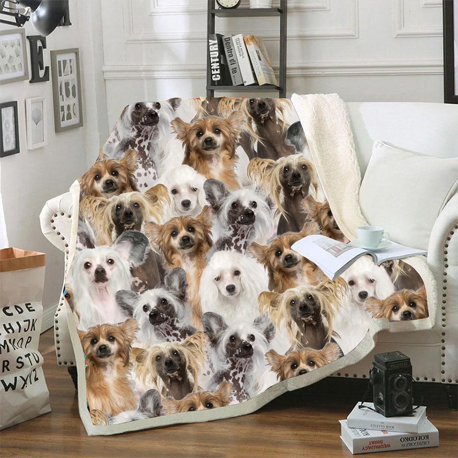 Chinese Crested CLM3110086S Sherpa Fleece Blanket