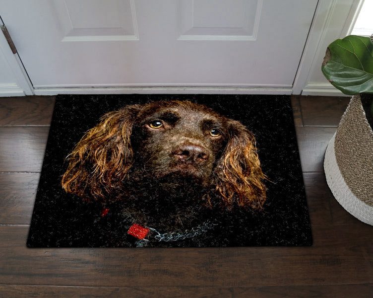 Cocker Spaniel DV28100046D Non-slip Door mats