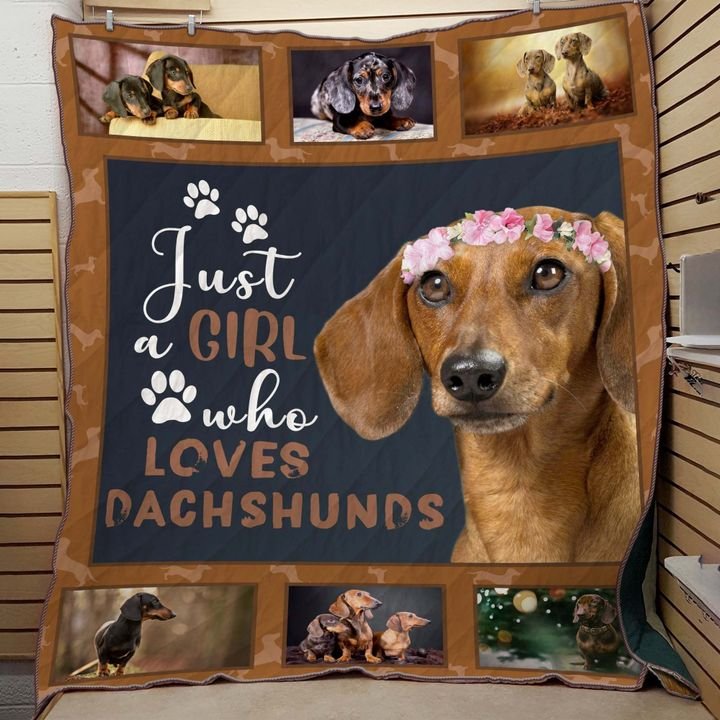 Dachshund Just A Girl Who Loves Dachshunds CLA2911160Q Quilt Blanket