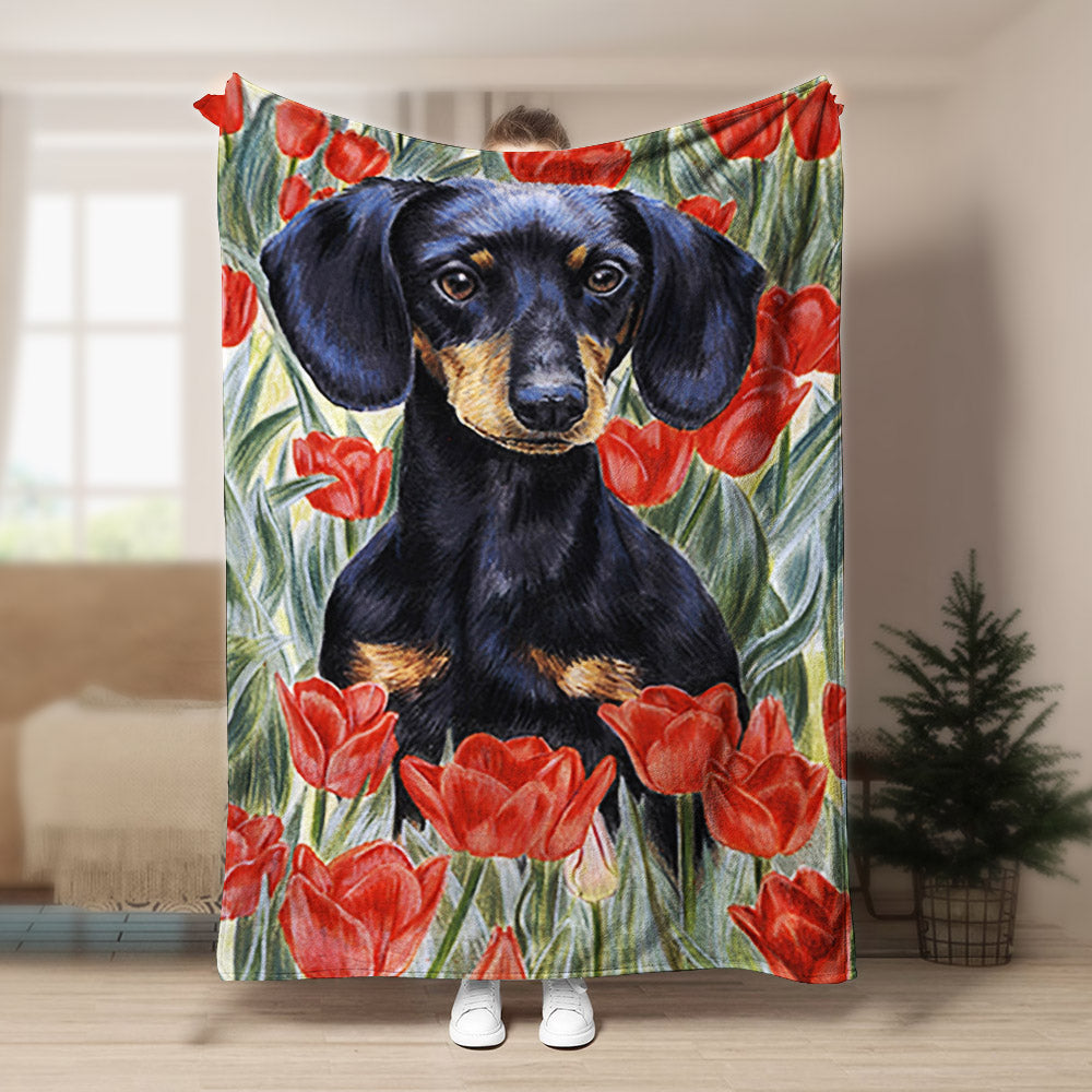 Dachshund BT050956F Sherpa Fleece Blanket