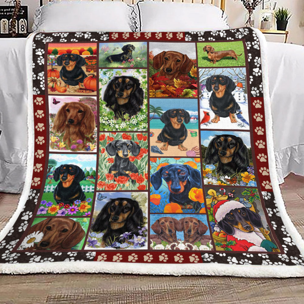 Dachshund YH3110774F Sherpa Fleece Blanket