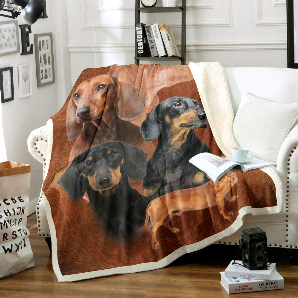 Dachshunds CG1411067TT Sherpa Fleece Blanket