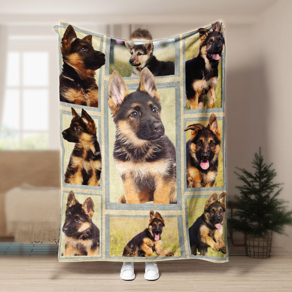 German Shepherd Puppy CLA21100984F Sherpa Fleece Blanket