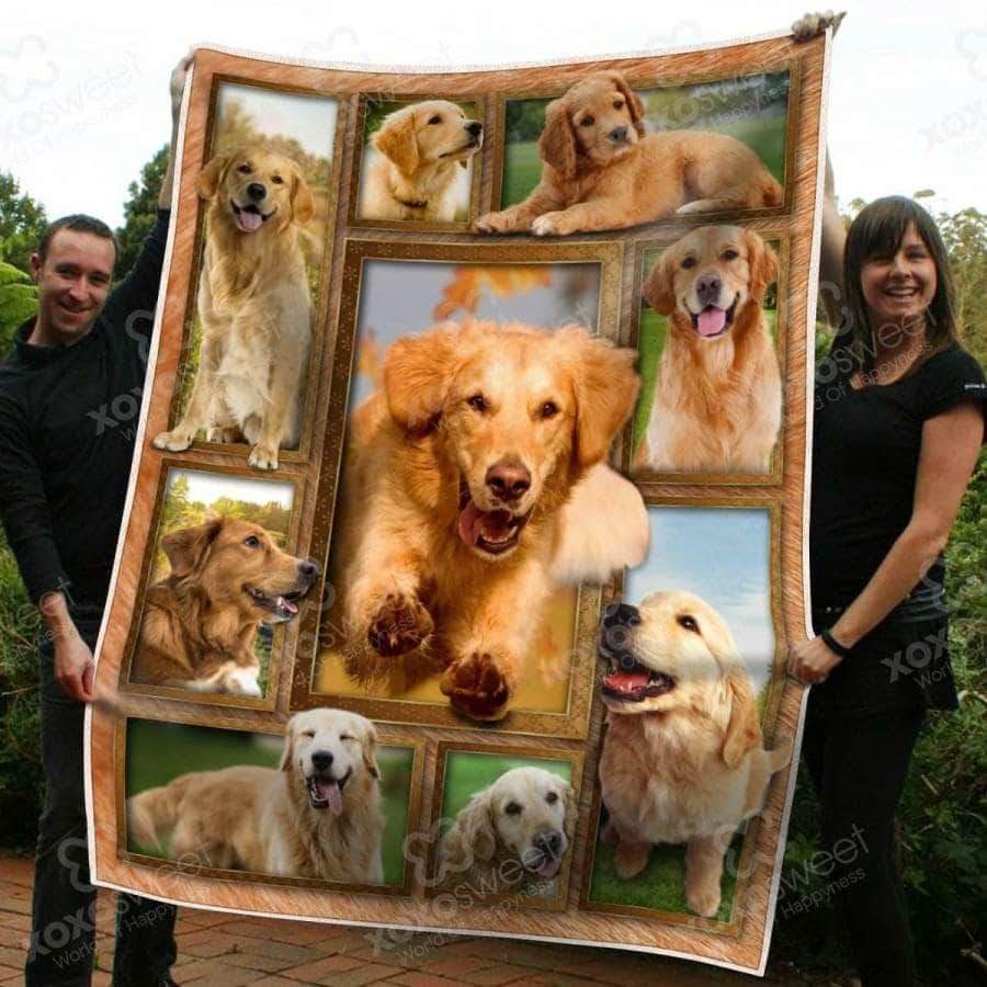 Golden Retriever Premium CL05100225MDF Sherpa Fleece Blanket