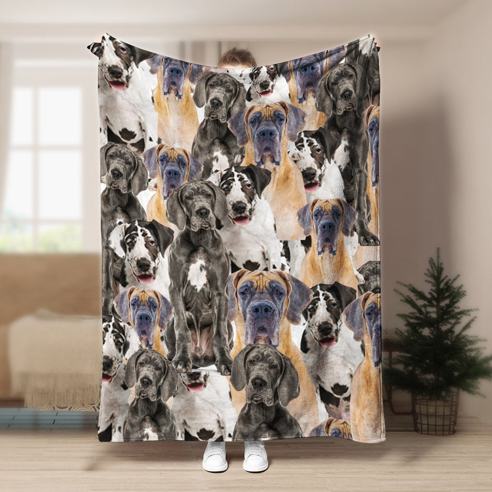 Great Dane CL1208133MD Sherpa Fleece Blanket