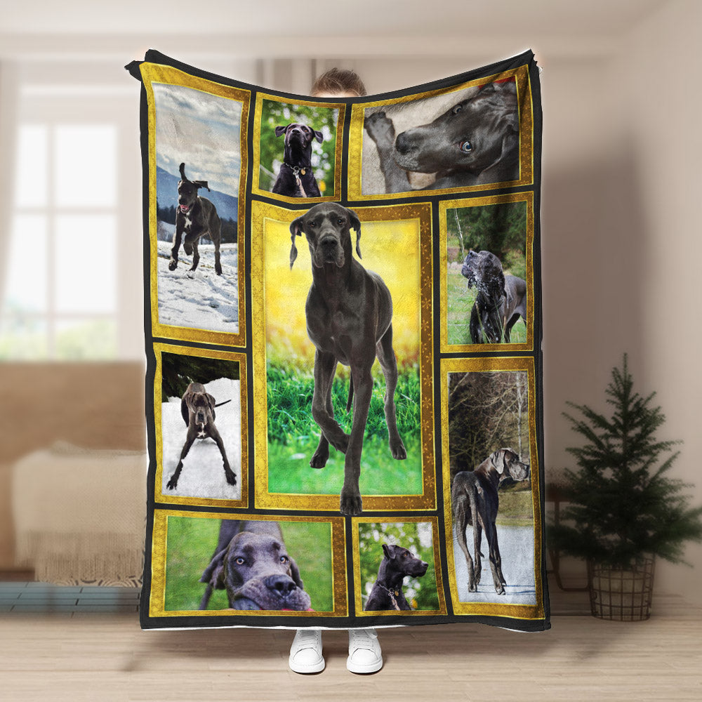 Great Dane CLA21100848F Sherpa Fleece Blanket