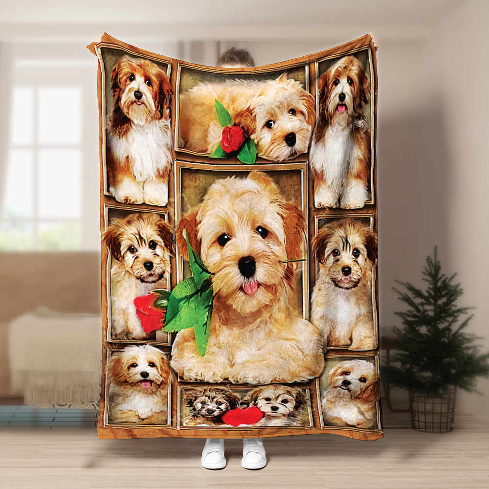 Havanese CLA21101001F Sherpa Fleece Blanket