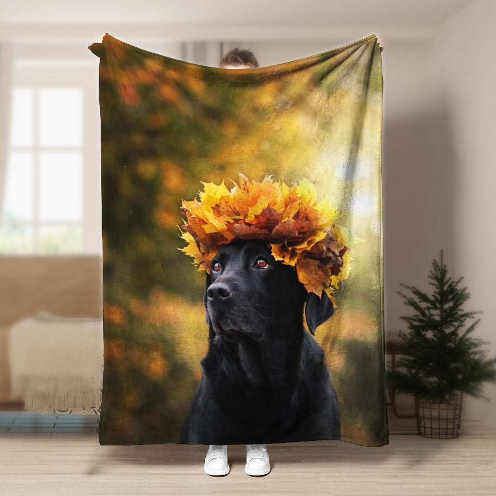 Labrador BL0309055F Sherpa Fleece Blanket