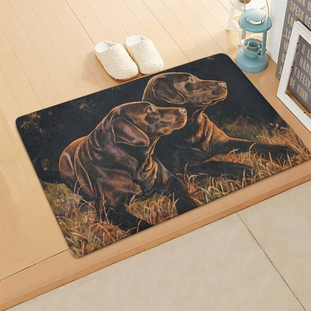 Labrador CL270841MDD Non-slip Door mats