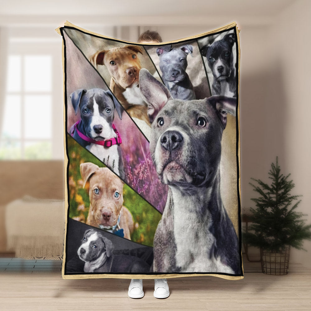 Pitbull art CLA1910646F Sherpa Fleece Blanket