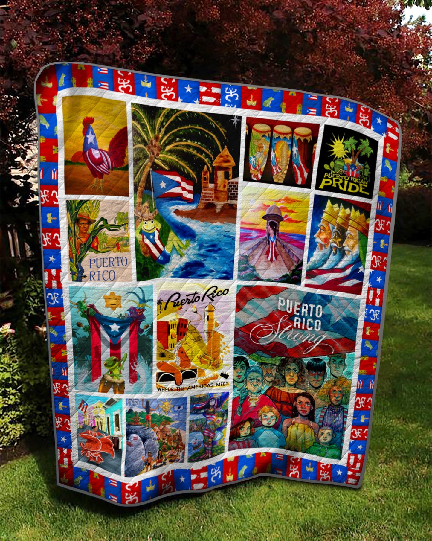 Puerto Rico TD20110125 Quilt Blanket