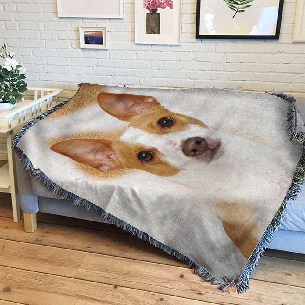 Rat Terrier HM0110132S Throw Blankets For Sofa