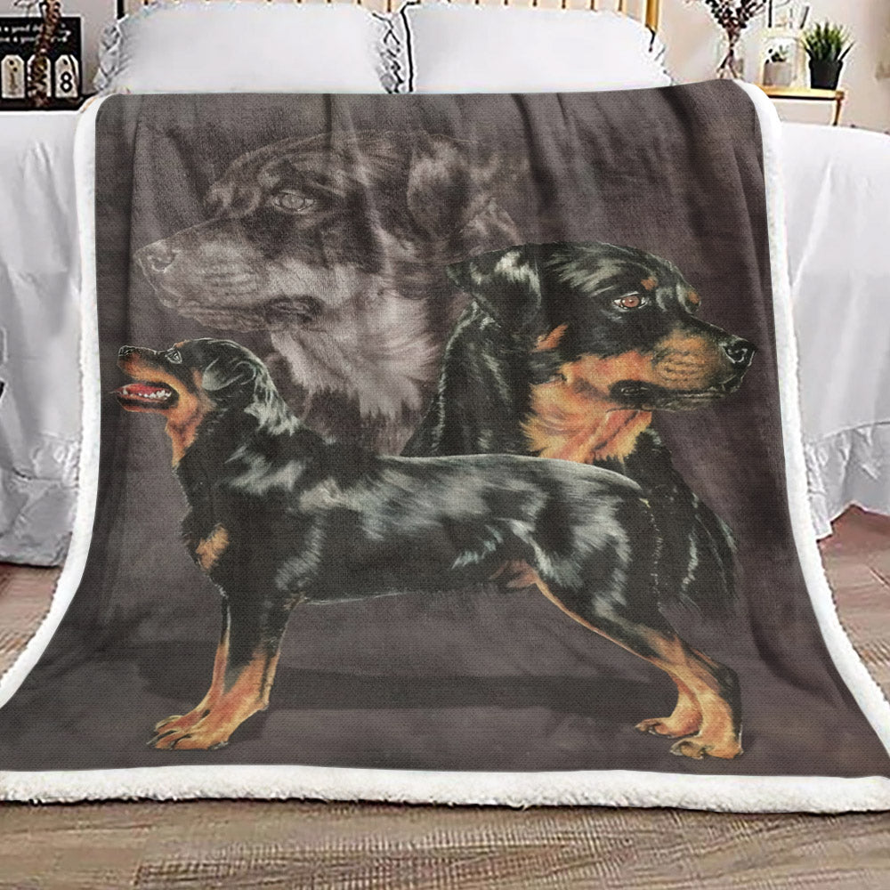 Rottweiler DD190996F Sherpa Fleece Blanket