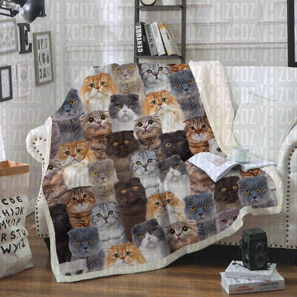 Scottish Fold Cats CL21110794MDF Sherpa Fleece Blanket