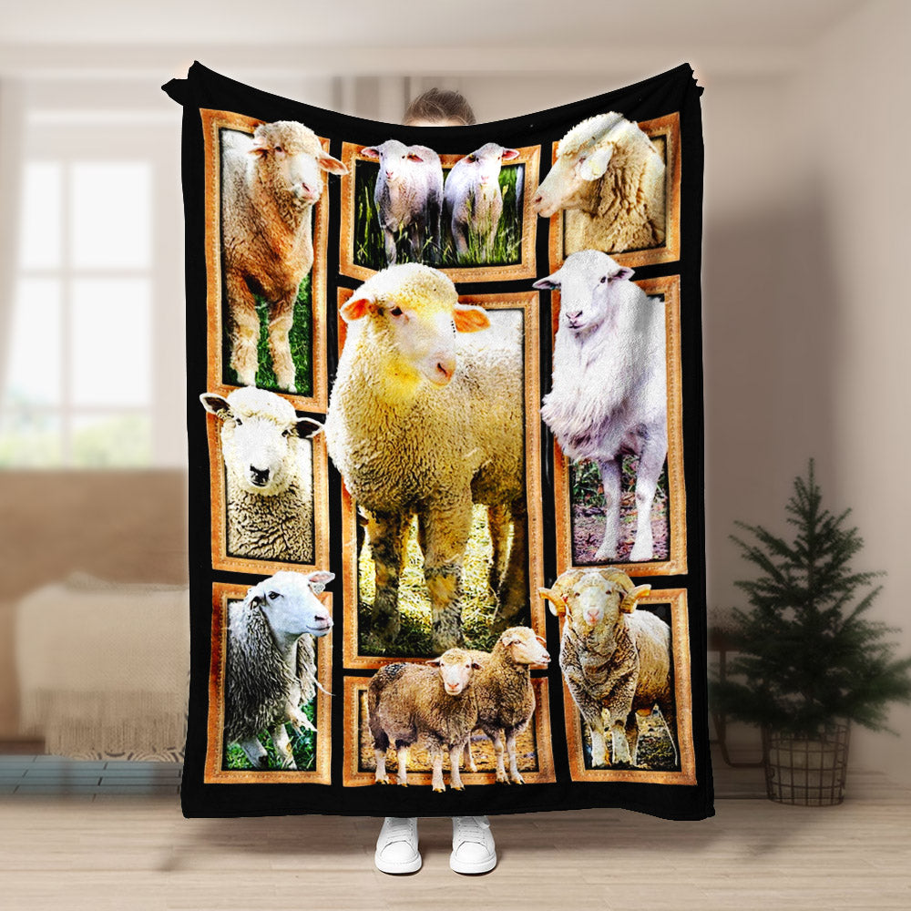 Sheep CL240883MD Sherpa Fleece Blanket