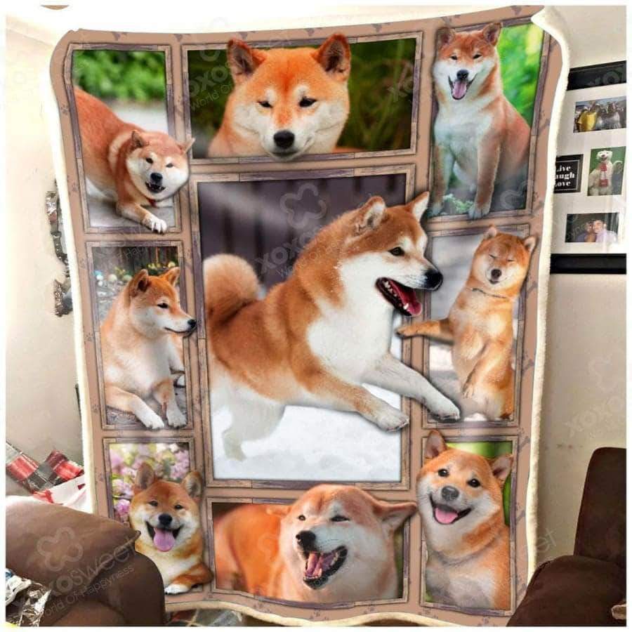 Shiba Inu CL05100479MDF Sherpa Fleece Blanket