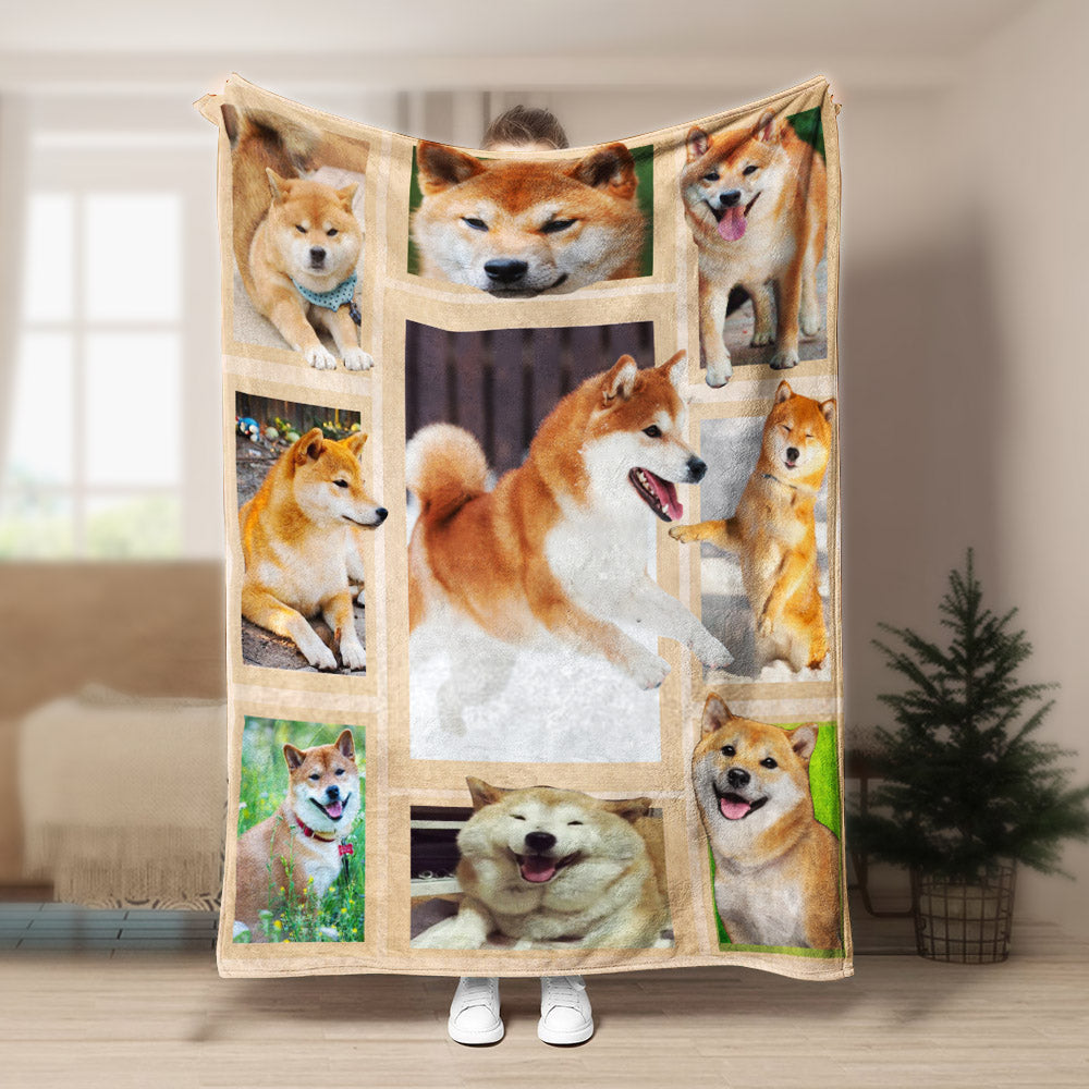 Shiba Inu CLA21100956F Sherpa Fleece Blanket