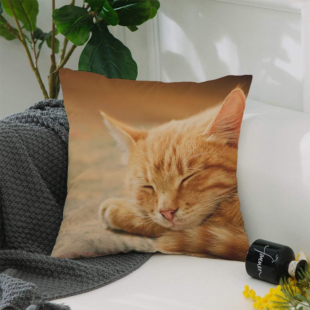 Sleeping Orange Tabby Cat CLP1410118P Throw Pillow Covers