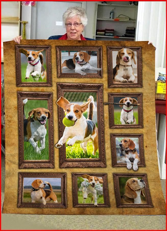 3D Beagle CLA0411058F Sherpa Fleece Blanket