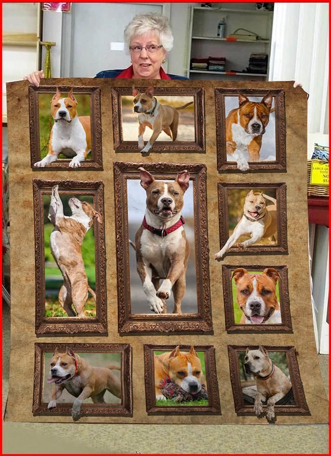 3D American Staffordshire Terrier CLA0411057F Sherpa Fleece Blanket