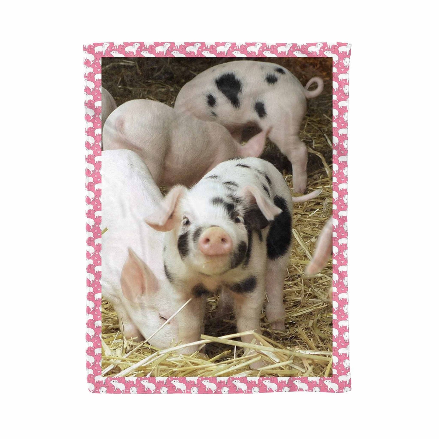 Pig CLA0411200F Sherpa Fleece Blanket