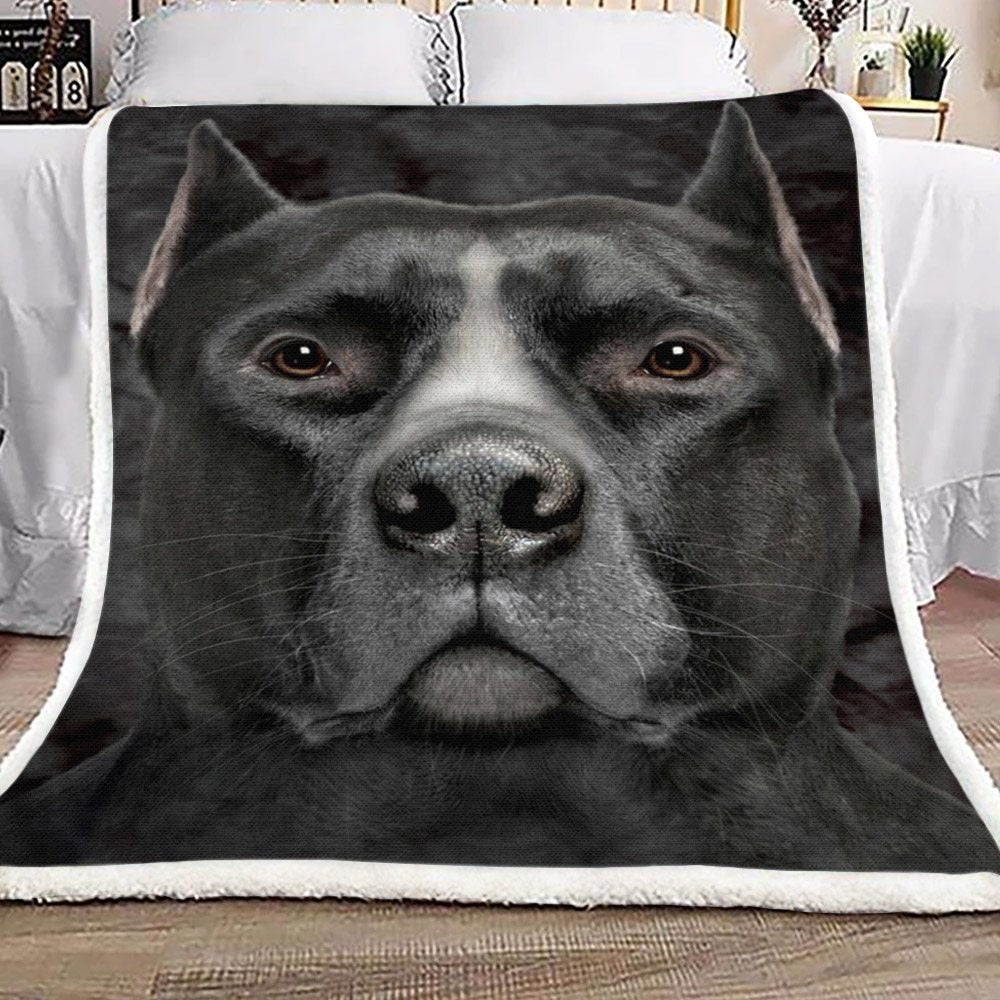 Black Pitbull Head HN0811265F Sherpa Fleece Blanket