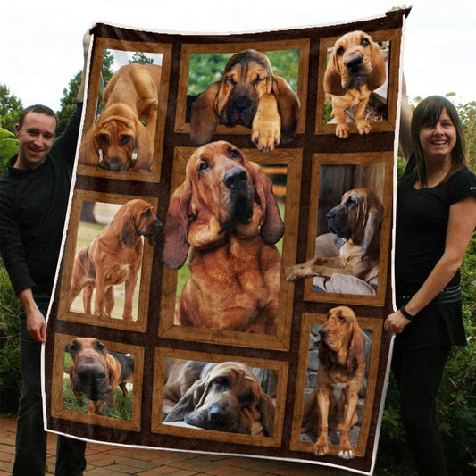 Bloodhound CLA02121584F Sherpa Fleece Blanket