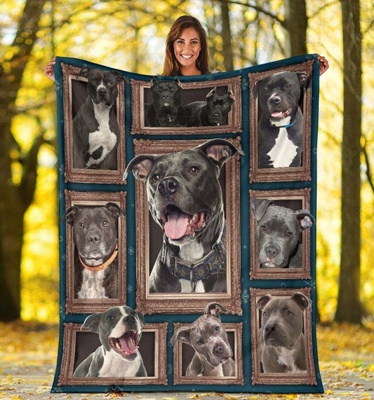 3D Pitbull CLA0412001F Sherpa Fleece Blanket