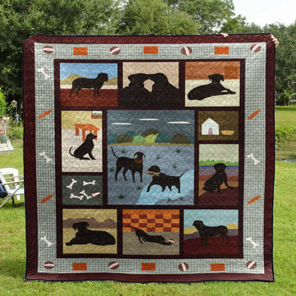 Black Labrador Retriever CLA250636 Quilt Blanket
